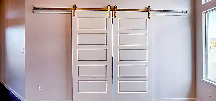 Glass Barn Door with Installation Hardware Kit Eau Claire
