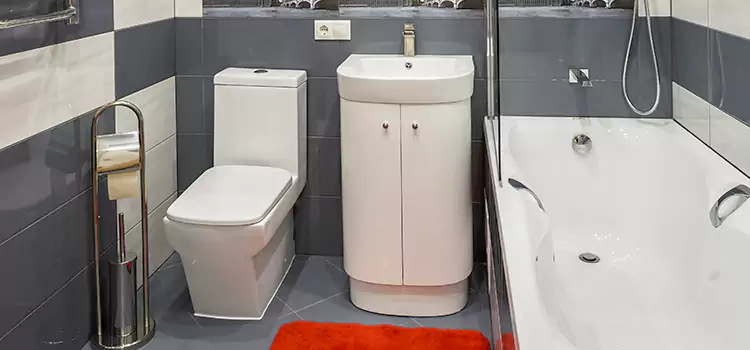Hansgrohe Shaving Mirror Eau Claire