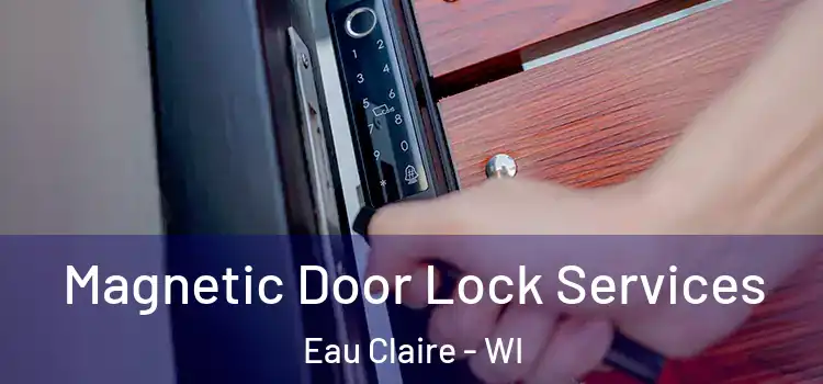 Magnetic Door Lock Services Eau Claire - WI